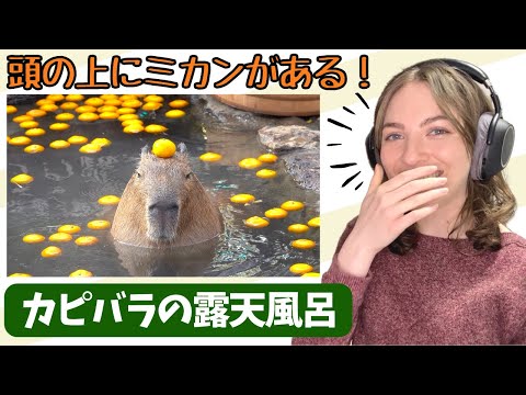 【海外の反応】カピバラの露天風呂 頭の上にミカンがある！