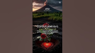 سورة الضحى #اكسبلور #القزابري #دويتو #البخل #المصحف #تيك_توك #القرميد #حالات_واتس #الظروف #لايك