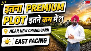 250 गज East Facing Plot | Map Pass | Boundary Wall | Near New Chandigarh |