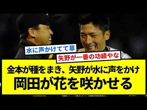 金本が種をまき、矢野が水に声をかけ、岡田が花を咲かせる【反応集】【プロ野球反応集】【2chスレ】【1分動画】【5chスレ】