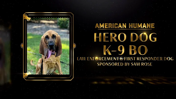 2024 Hero Dog Awards | Law Enforcement and First Responder Hero Dog Bo