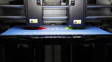 Flashforge - CreatorIII Mirror Mode Printing