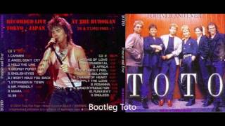 TOTO Community server its a place were TOTO fans can chat rather th...