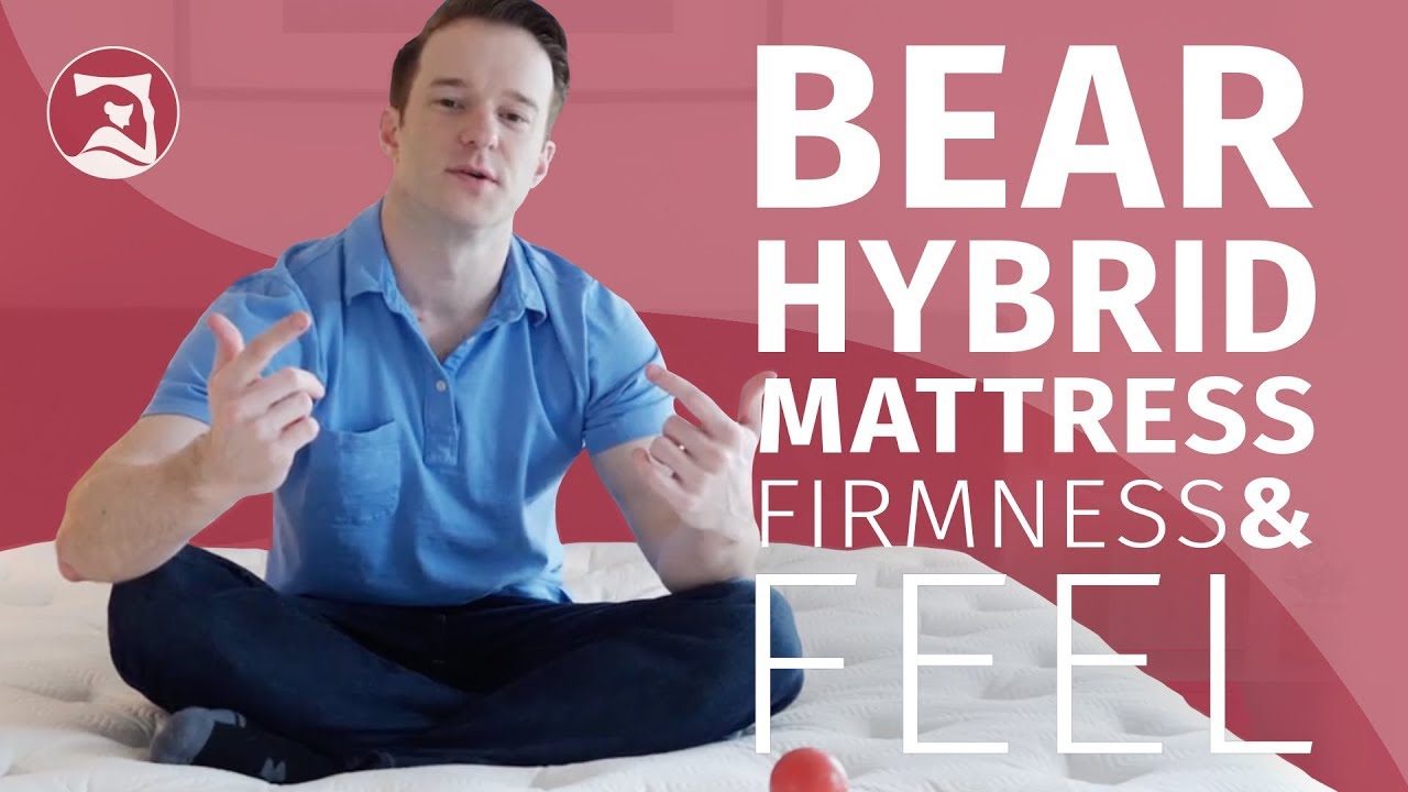 Bear Hybrid Mattress Firmness And Feel YouTube