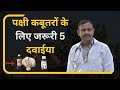 Birds pigeons treatment medicine       5   dr nagender yadav