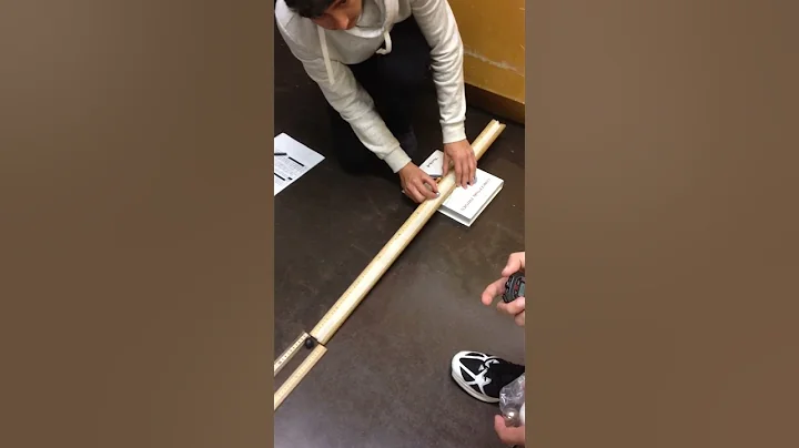 Newton's Second Law Lab