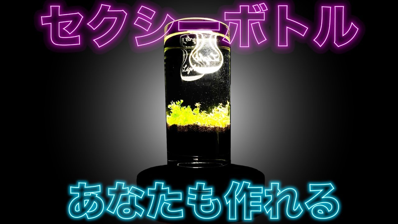 A Little Bit of Nature] Creating and Watching a Bottle Aquarium on