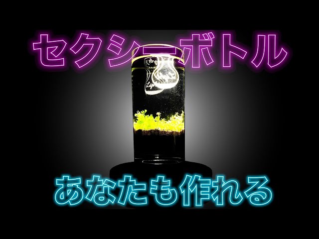 A Little Bit of Nature] Creating and Watching a Bottle Aquarium on