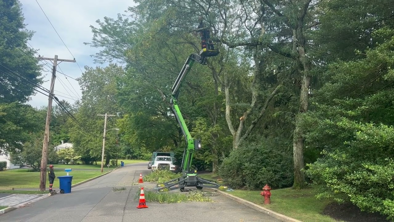 Tree Trimming in Tinton Falls, NJ: Trust Hufnagel Tree Service