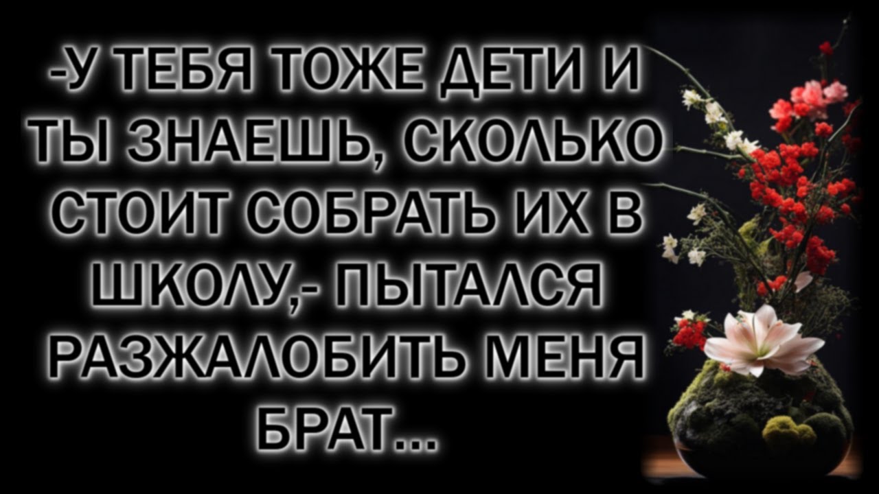 -У тебя тоже дети и ты знаешь, сколько стоит собрать их в школу,- пытался разжалобить меня брат…