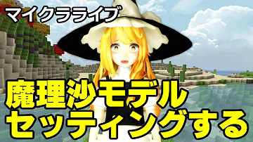 マイクラ カスタムスティーブ