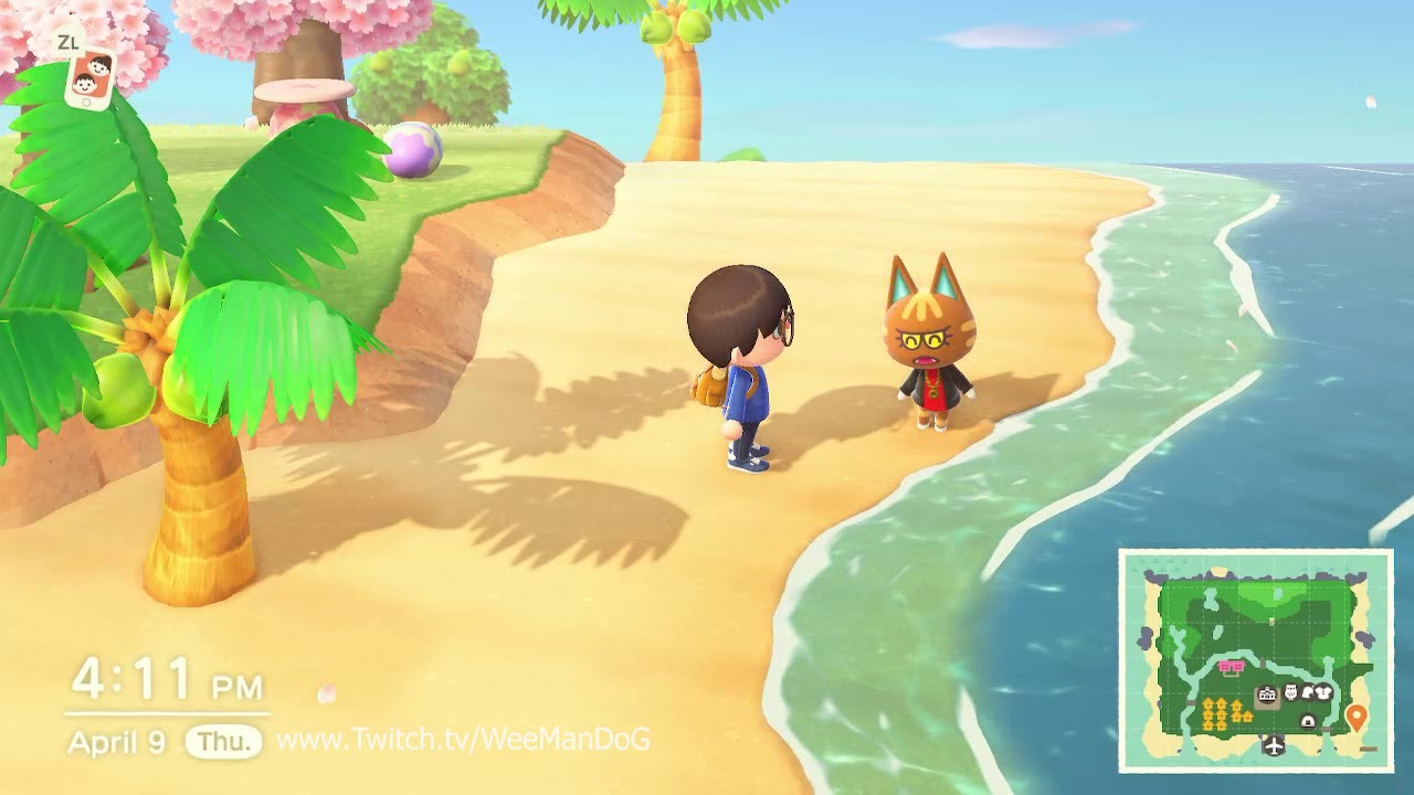 katt animal crossing katt animal crossing