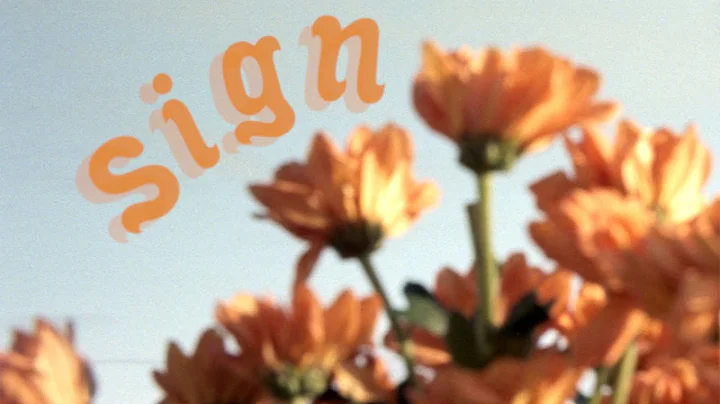 liana flores - Sign (Lyric Video)