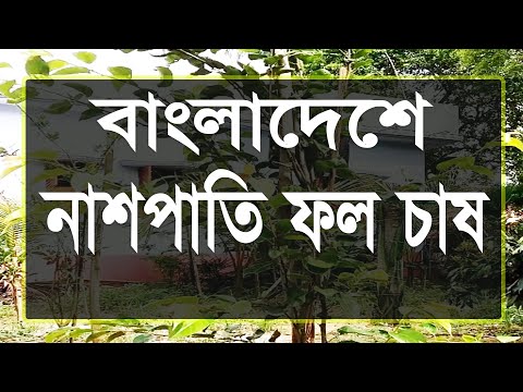 ভিডিও: কিভাবে একটি ক্ষুধা পরিবেশন করতে হবে: 12 টি ধাপ (ছবি সহ)