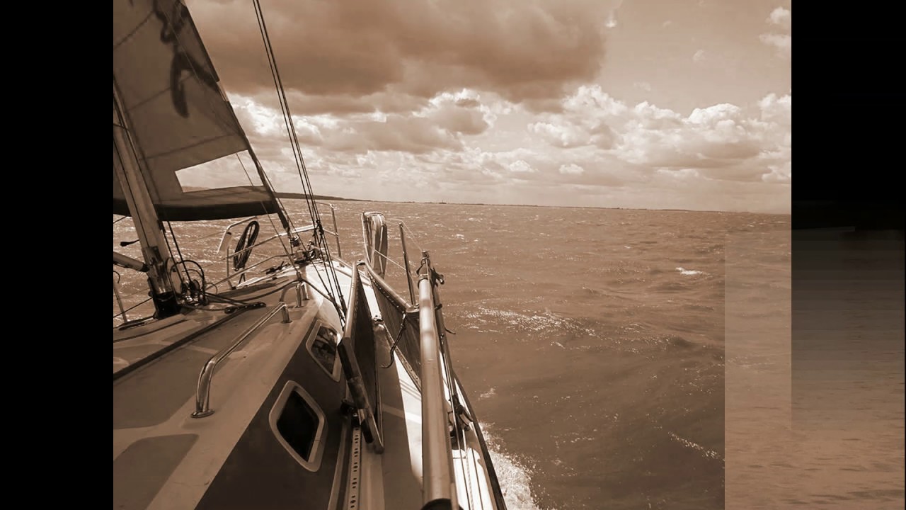 The Nierobbers  - Moja Zatoka Świeża