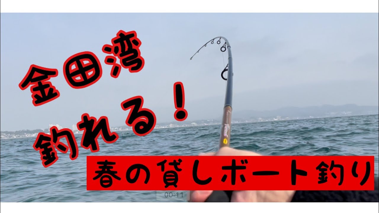 神奈川県三浦市金田湾釣り ボートでイワシの泳がせ釣り 3月下旬 Youtube
