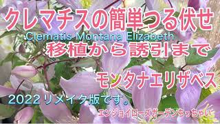 21年のクレマチスモンタナエリザベスのつる伏せから移植 誘引までのリメイク版です ご視聴者様のご要望でリメイクしました Youtube 21年のクレマチスモンタナエリザベスのつる伏せから移植 誘引までのリメイク版です ご視聴者様のご要望でリメイクしました Youtube