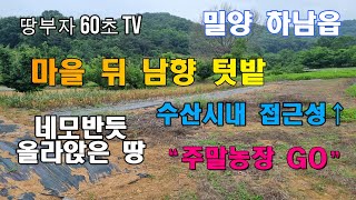 [나1-682] 마을뒤 올라앉은 남향 텃밭 #밀양부동산 #밀양토지 #밀양주말농장 #밀양텃밭 #밀양하남 #하남읍부동산 #하남읍토지 #밀양수산 #초동면 #초동면토지 #밀양초동 #하남읍