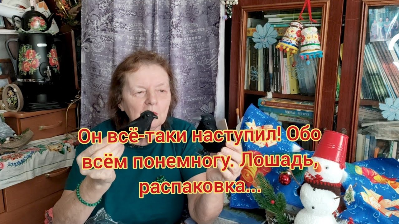Он всё-таки наступил. Обо всём понемногу. Лошадь. Распаковка...