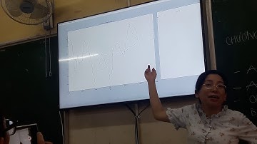 cách dùng ident trong MATLAB