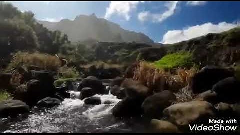 سورة الجن بصوت الفقير إلى الله/ عبدالكريم اللقاني