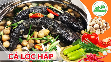 CÁ LÓC HẤP BẦU - Hướng dẫn cách làm Cá Lóc Hấp Bầu, Hành, Nấm Rơm thơm ngon hấp dẫn | TN VLOGS