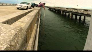 Cast Net off Bridge