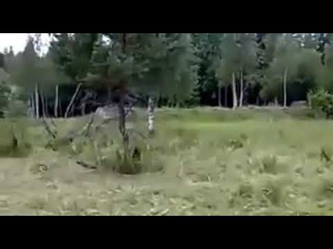 فن التمويه العسكري روعه جديد 2021