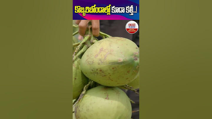 Coconut Water : కొబ్బరిబొండాంలో  కూడా కల్తీ..! | #ytshorts #shorts | ABN Digital Exclusives