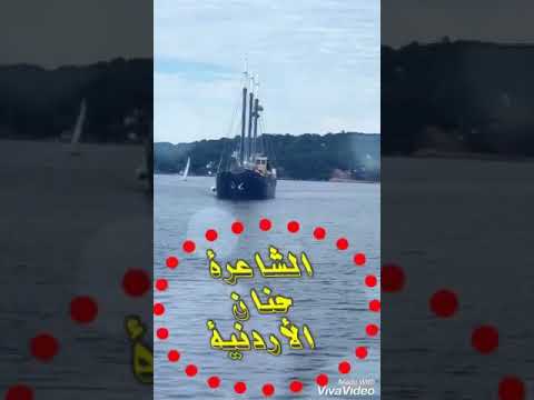 هزمت القهر كلمات حنان الاردنيه ماضي بلا هويه مونتاح محمد السعيد 