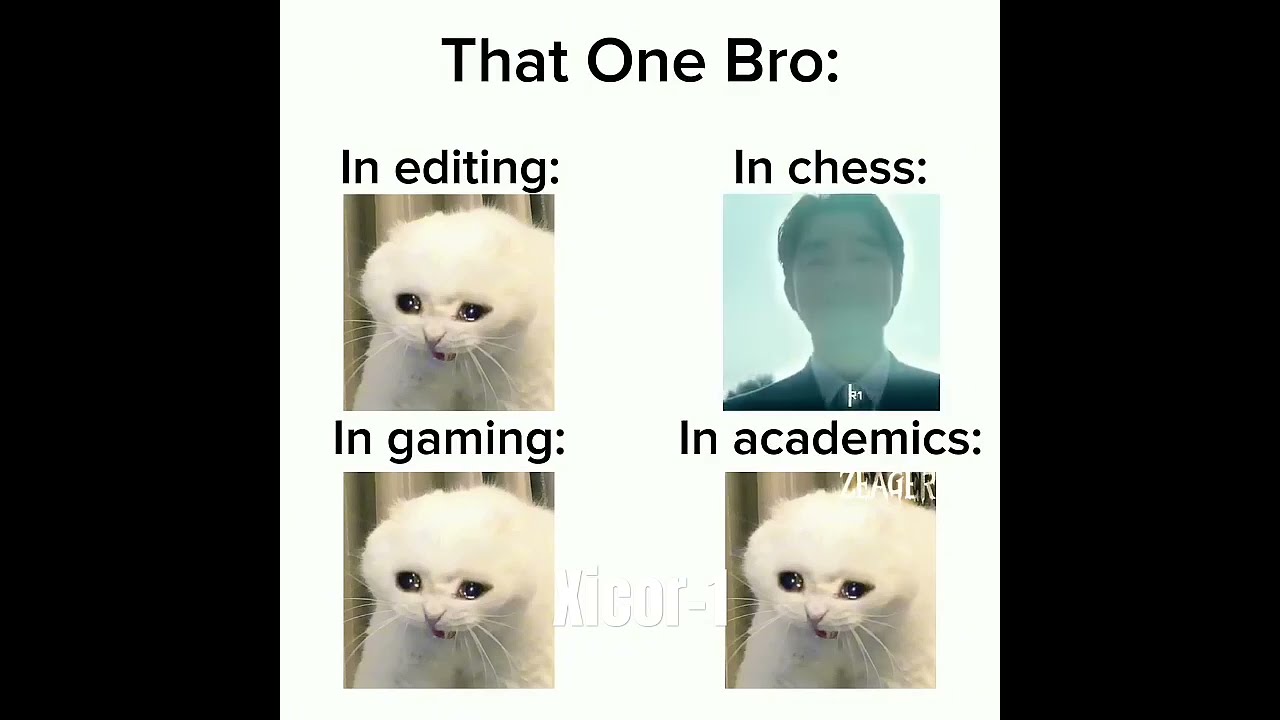  Repost That One Bro In Everything Goku Anime Dragonball Gongyoo Squidgame Viral