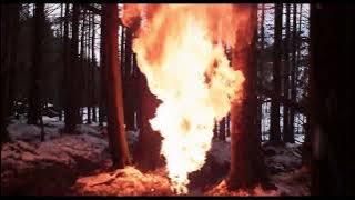 Under the Skin (2013) - Ending