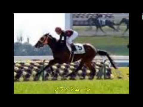 2017/8/13 新潟 11R 関屋記念（ＧⅢ）