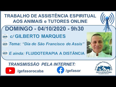 Assista: Trabalho de Assistência Espiritual aos Animais ONLINE - c/ GILBERTO MARQUES (04/10/2020)