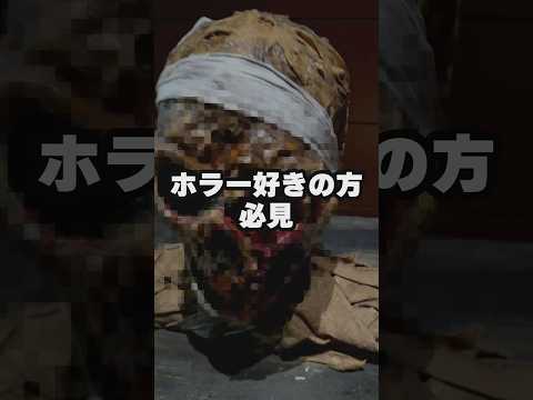 ホラー作品好きが行きたくなるスポット紹介【 ホラーにふれる展 】#shorts