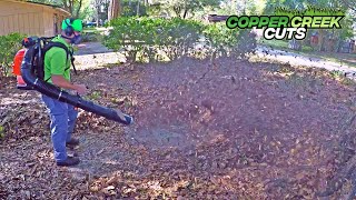 Crazy Leaf Cleanup, Giant Leaf Blower, Strangely Satisfying