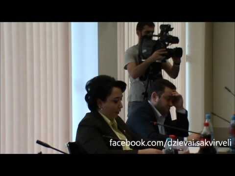 ID ბარათების საკითხი 'ადამიანის უფლებათა დაცვის საპარლამენტო კომიტეტის' სხდომაზე