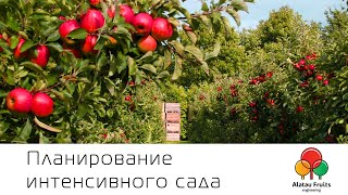 видео Плодовый сад: планировка, закладка, уход