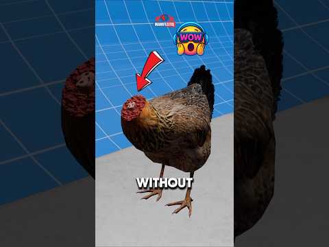 3 Animals That Can Live Without A Head Facts Animalfacts Wildlife 