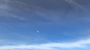 Techone Swift - Flight and Crash