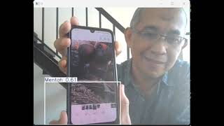 AI cek kematangan buah sawit dari fotonya  #computervision #deeplearning