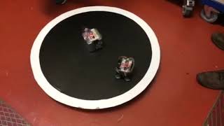 RoboSumo Bout 3
