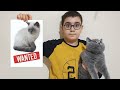 Kedi Leo Kayboldu. Lost Cat Fun Kids Video