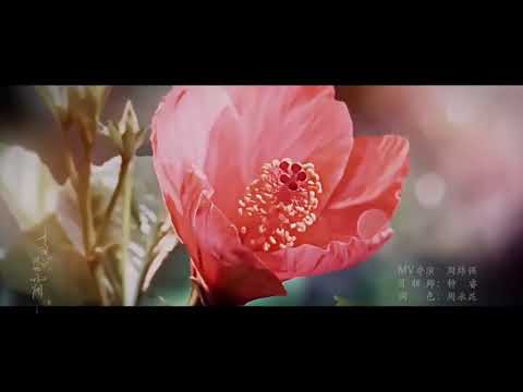 《香蜜沉沉烬如霜》主题曲《不染》 毛不易倾情献唱   （杨紫邓伦）