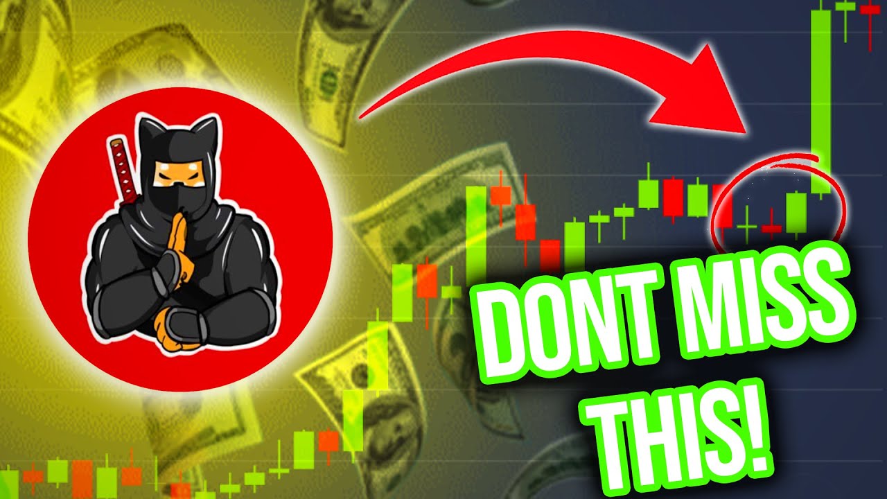 SHIBNOBI SHINJA TOKEN BIG NEWS: THIS WILL BE THE NEXT BIG COIN! (PRICE PREDICTION NEWS 2022)