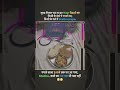 @dr_SantoshPal_8003 #studentlife #students #viralvideo #medical #pharmacology #pharmacy #pharma