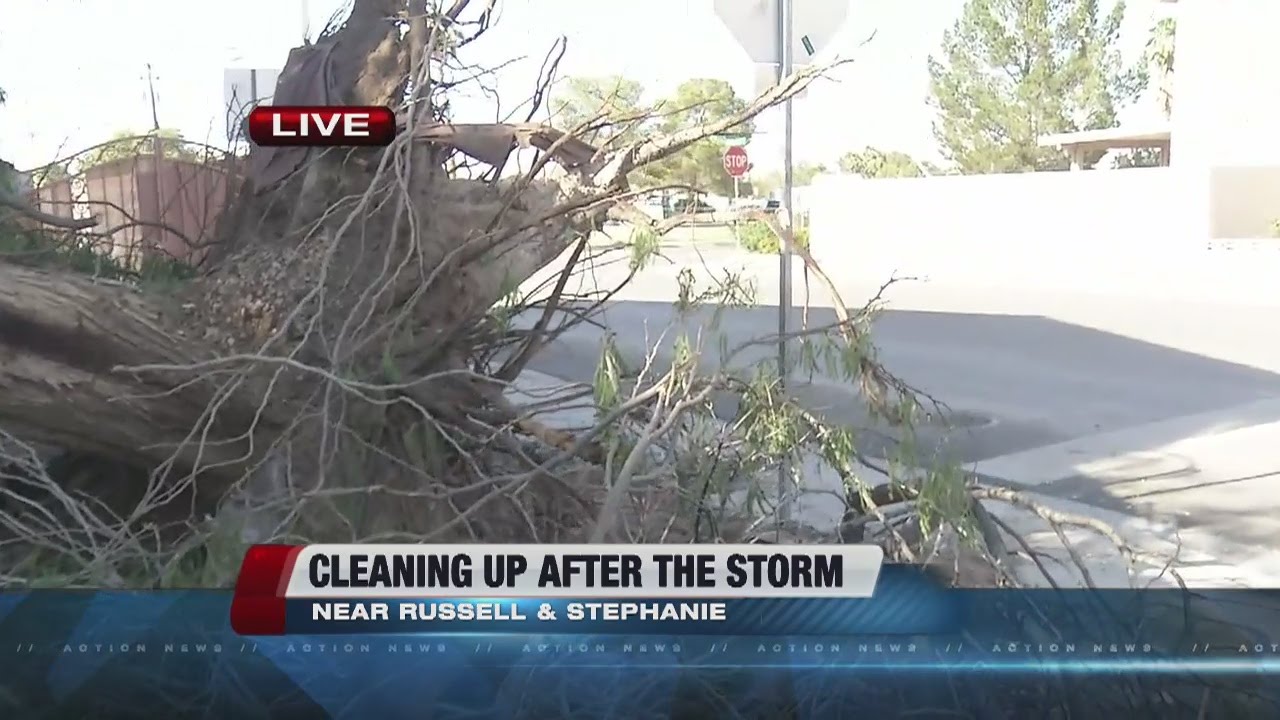 Cleaning up after the storm - YouTube