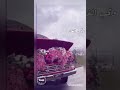تغلى على كيفك تصميمي تغلى على كيفك تصميمي