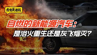 自燃的新能源汽车：是浴火重生还是灰飞烟灭？