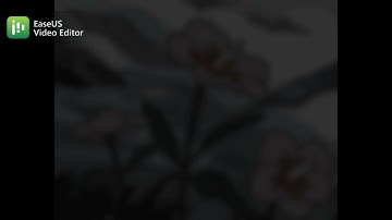 C3 - Confusiones tras la acumulación de Aβ